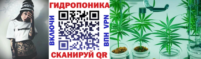 Шишки марихуана гибрид  мега рабочий сайт  Ртищево 